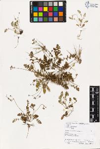 SW_BNB_s3070-02881_IMG-0000000001