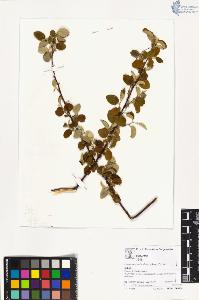 SW_BNB_s3070-02888_IMG-0000000001