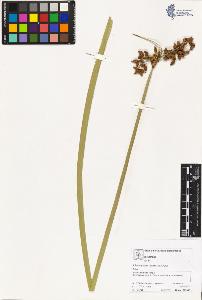 SW_BNB_s3070-02892_IMG-0000000001