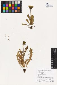 SW_BNB_s3070-02893_IMG-0000000001