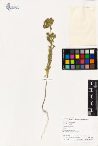 SW_BNB_s3070-02901_IMG-0000000001