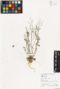 SW_BNB_s3070-02910_IMG-0000000001