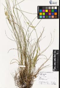 SW_BNB_s3070-02913_IMG-0000000001