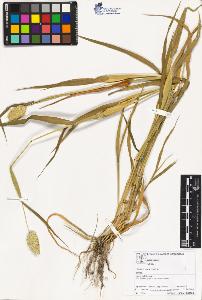 SW_BNB_s3070-02915_IMG-0000000001