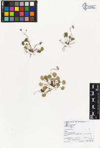 SW_BNB_s3070-02930_IMG-0000000001