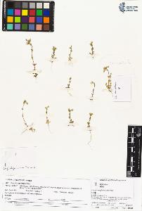 SW_BNB_s3070-02931_IMG-0000000001