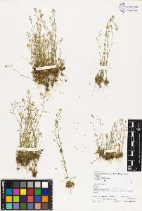 SW_BNB_s3070-02933_IMG-0000000001