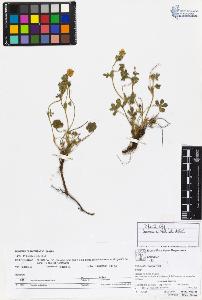 SW_BNB_s3070-02934_IMG-0000000001