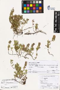 SW_BNB_s3070-02937_IMG-0000000001