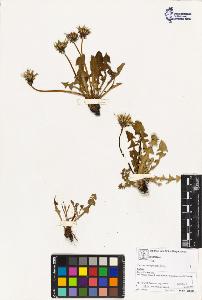 SW_BNB_s3070-02938_IMG-0000000001