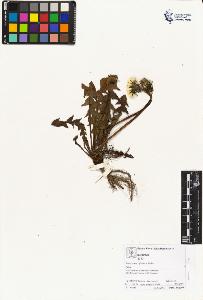 SW_BNB_s3070-02939_IMG-0000000001