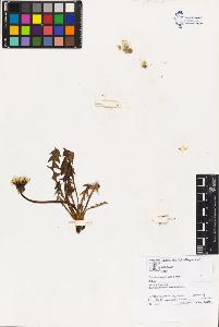 SW_BNB_s3070-02940_IMG-0000000001