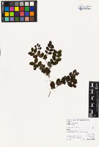 SW_BNB_s3070-02944_IMG-0000000001