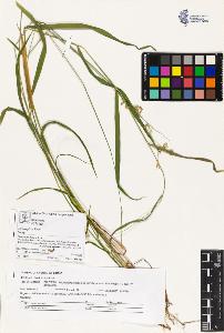 SW_BNB_s3070-02946_IMG-0000000001