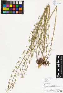 SW_BNB_s3070-02949_IMG-0000000001