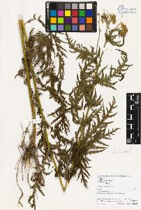SW_BNB_s3070-02950_IMG-0000000001