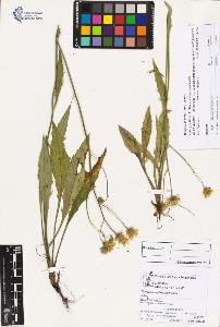 SW_BNB_s3070-02957_IMG-0000000001