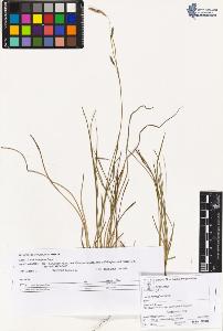 SW_BNB_s3070-02965_IMG-0000000001