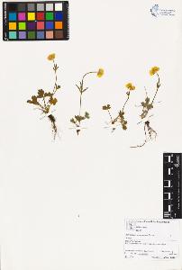 SW_BNB_s3070-02966_IMG-0000000001