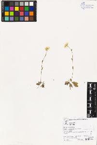 SW_BNB_s3070-02967_IMG-0000000001