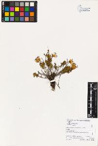 SW_BNB_s3070-02968_IMG-0000000001