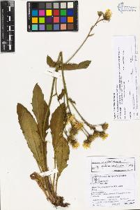 SW_BNB_s3070-02974_IMG-0000000001