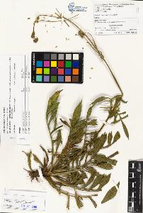 SW_BNB_s3070-02975_IMG-0000000001