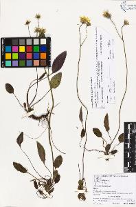 SW_BNB_s3070-02977_IMG-0000000001