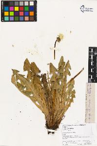 SW_BNB_s3070-02984_IMG-0000000001