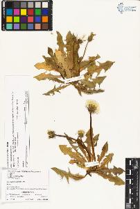 SW_BNB_s3070-02993_IMG-0000000001