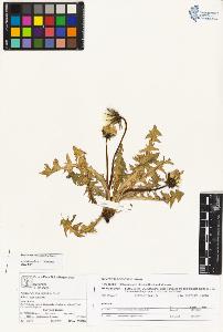 SW_BNB_s3070-02995_IMG-0000000001