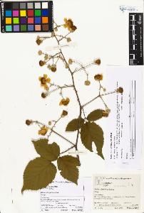 SW_BNB_s3070-03000_IMG-0000000001