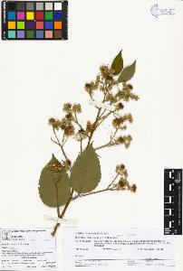SW_BNB_s3070-03002_IMG-0000000001