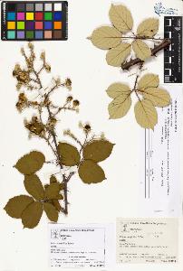 SW_BNB_s3070-03008_IMG-0000000001