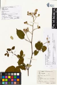 SW_BNB_s3070-03011_IMG-0000000001