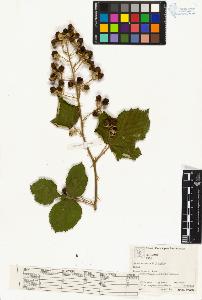SW_BNB_s3070-03016_IMG-0000000001