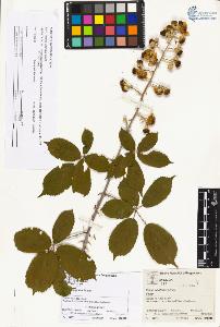 SW_BNB_s3070-03017_IMG-0000000001