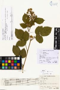 SW_BNB_s3070-03018_IMG-0000000001