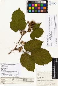 SW_BNB_s3070-03021_IMG-0000000001