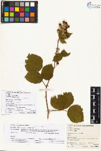 SW_BNB_s3070-03022_IMG-0000000001