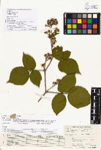 SW_BNB_s3070-03023_IMG-0000000001