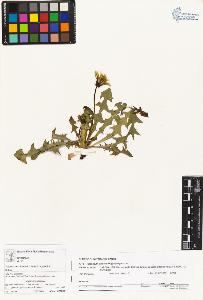 SW_BNB_s3070-03024_IMG-0000000001