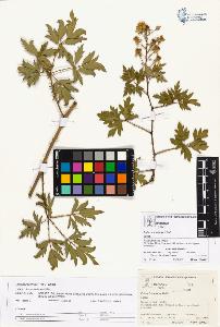 SW_BNB_s3070-03027_IMG-0000000001