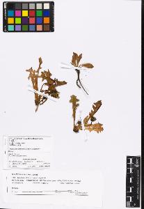 SW_BNB_s3070-03029_IMG-0000000001