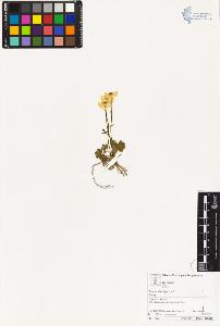 SW_BNB_s3070-03030_IMG-0000000001