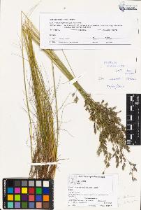 SW_BNB_s3070-03031_IMG-0000000001