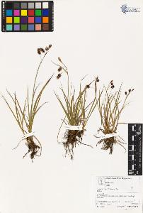 SW_BNB_s3070-03032_IMG-0000000001