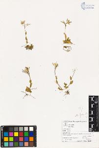 SW_BNB_s3070-03033_IMG-0000000001