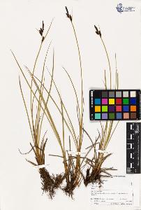 SW_BNB_s3070-03034_IMG-0000000001