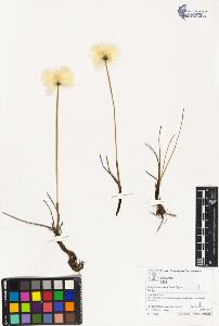 SW_BNB_s3070-03035_IMG-0000000001